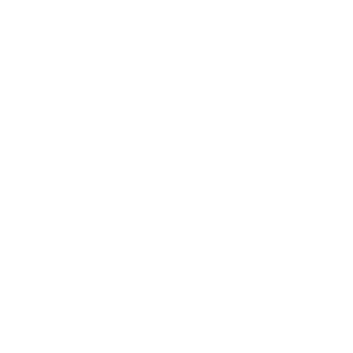 Siegel Beratungsnetzwerk weiss
