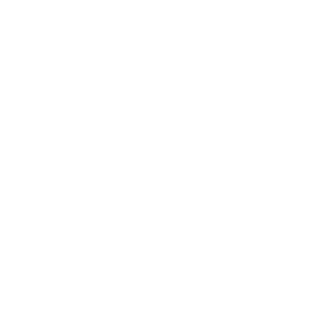 Siegel-Beratungsnetzwerk-weiss.png
